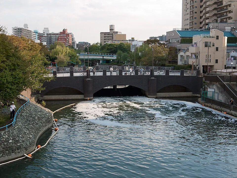 Yokojukken River seen from Onagigawa Clover Bridge in eastern Tokyo